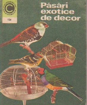 Pasari exotice de decor