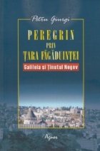 coperta Peregrin prin Tara Fagaduintei - Galileia si Tinutul Negev