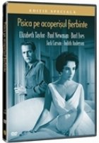 coperta Pisica pe acoperisul fierbinte - Ed. Sp.