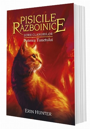 Pisicile Razboinice. Cartea a XXVI-a: Zorii clanurilor: Puterea Tunetului (volumul 26)