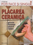 Placarea ceramica (gresie, faianta, piatra, rigips)