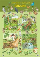 coperta Plansa - Fauna si flora din padure
