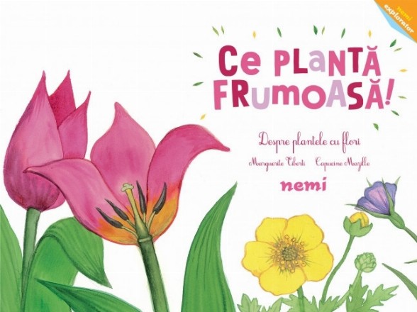 Ce plantă frumoasă! Despre plantele cu flori
