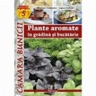 Plante aromate gradina bucatarie