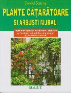 Plante cataratoare si arbusti murali