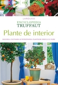 Plante de interior. Alegerea, cultivarea si intretinerea plantelor verzi si cu flori