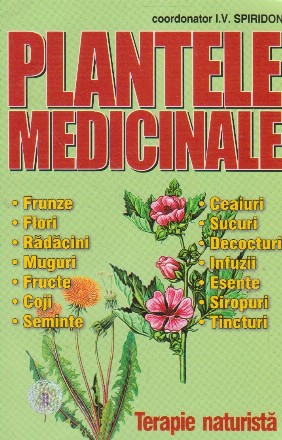 Plantele medicinale  - terapie naturista -