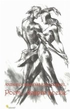 coperta Poem...despre poeme