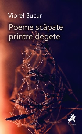 Poeme scăpate printre degete : (repere teutone)
