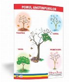 Pomul anotimpurilor plansa 50x70 Proiecte