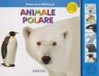 Prima mea biblioteca - Animale polare (Asculta sunetele facute de animale!)