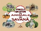 Primele ghicitori cu animale din savană