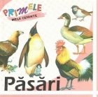 coperta Primele mele cuvinte - Pasari