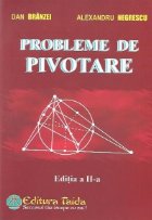 Probleme pivotare Editia