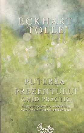 Puterea prezentului. Ghid practic