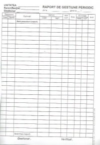 Raport de Gestiune Periodic