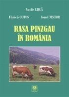 Rasa Pinzgau Romania