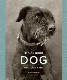 Really Good Dog Photography
