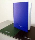 coperta Registru cartonat, format A4, 96 file, liniatura aritmetica, coperta policromie