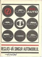 Reglati singur automobilul