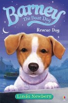 Rescue Dog