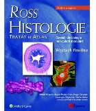 Ross Histologie: tratat si atlas. Corelatii din biologia moleculara si celulara