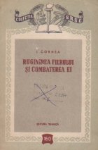 Ruginirea fierului si combaterea ei