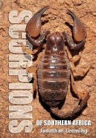 coperta Scorpions of South Africa