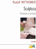 coperta Sculptura. Procedee şi principii