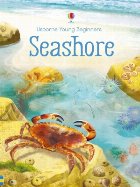 Seashore