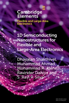 1D Semiconducting Nanostructures for Flexible and Large-Area