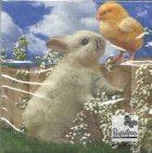 coperta Servetele de Paste - Iepuras si pui (Set 20 buc.)