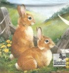 coperta Servetele de Paste - Iepurasi pe camp (Set 20 buc.)