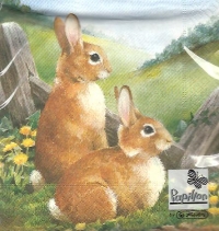 Servetele de Paste - Iepurasi pe camp (Set 20 buc.)