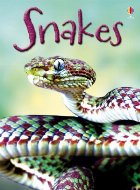 Snakes