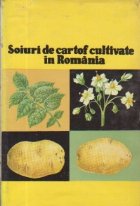 Soiuri de cartof cultivate in Romania