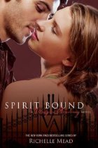 Spirit Bound (Vampire Academy Book
