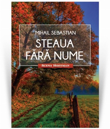 Steaua fara nume