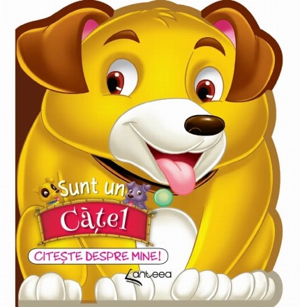 Sunt un căţeluş : citeşte mai mult despre mine