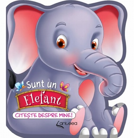 Sunt un elefănţel : citeşte mai mult despre mine