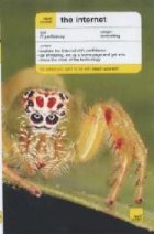 TEACH YOURSELF THE INTERNET