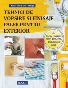 Tehnici de vopsire si finisaje false pentru exterior