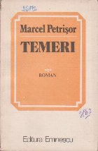 Temeri (roman)
