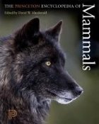 The Princeton Encyclopedia Mammals