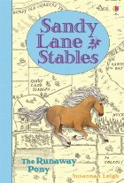 The Runaway Pony