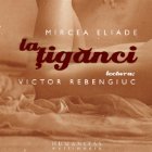 coperta La tiganci (Audiobook)