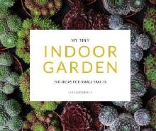 My Tiny Indoor Garden