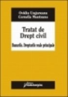 Tratat Drept civil Bunurile Drepturile
