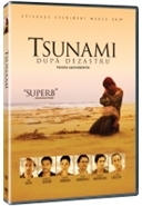 Tsunami: Dupa dezastru