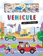 coperta Vehicule : carte cu magneţi